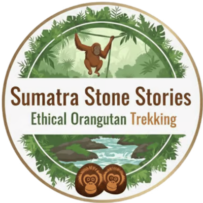 logo-sumatrastonestories