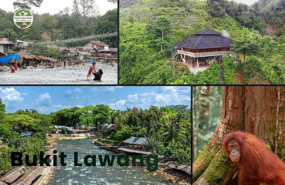 Bukit Lawang Travel Guide