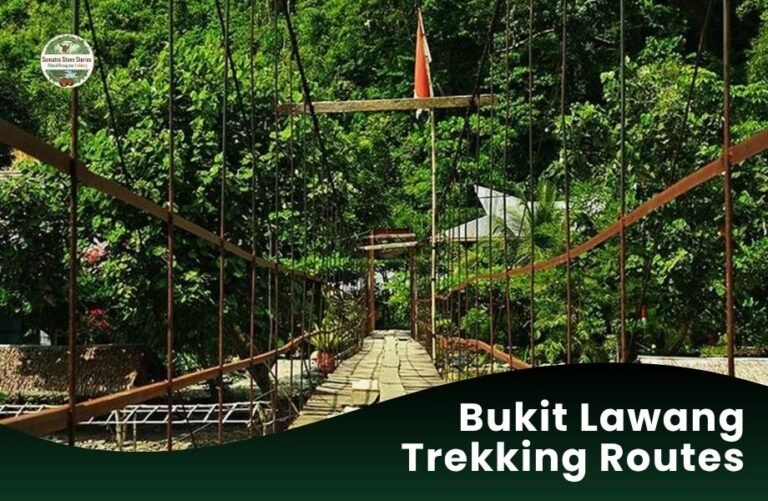 Bukit Lawang Trekking Routes