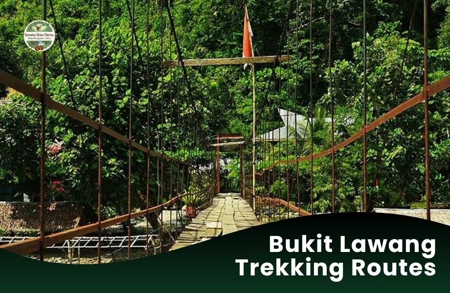 Bukit Lawang Trekking Routes
