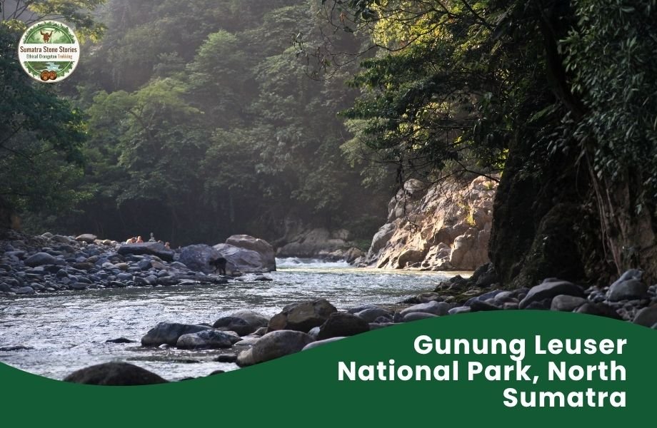 Gunung Leuser National Park