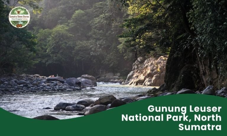 Gunung Leuser National Park