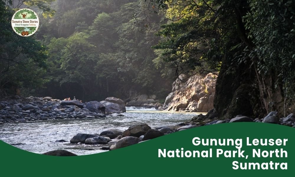Gunung Leuser National Park