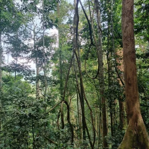 4 day trekking tour