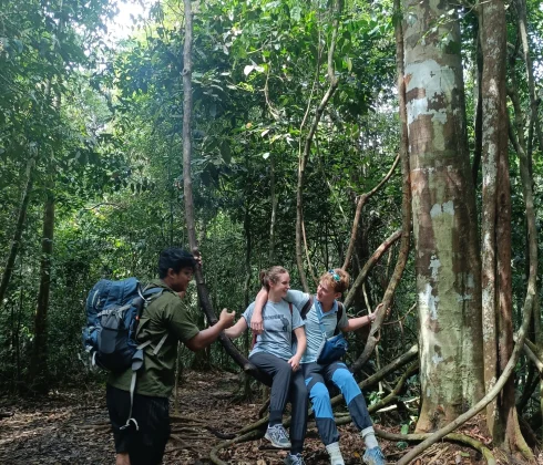 SumatraStoneStories