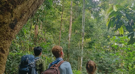 SumatraStoneStories