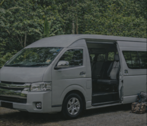 Private Car Transfer from Medan to Bukit Lawang
